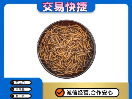 广元回收散虫草